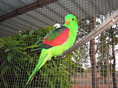 CairnsTC154 Granite Gorge